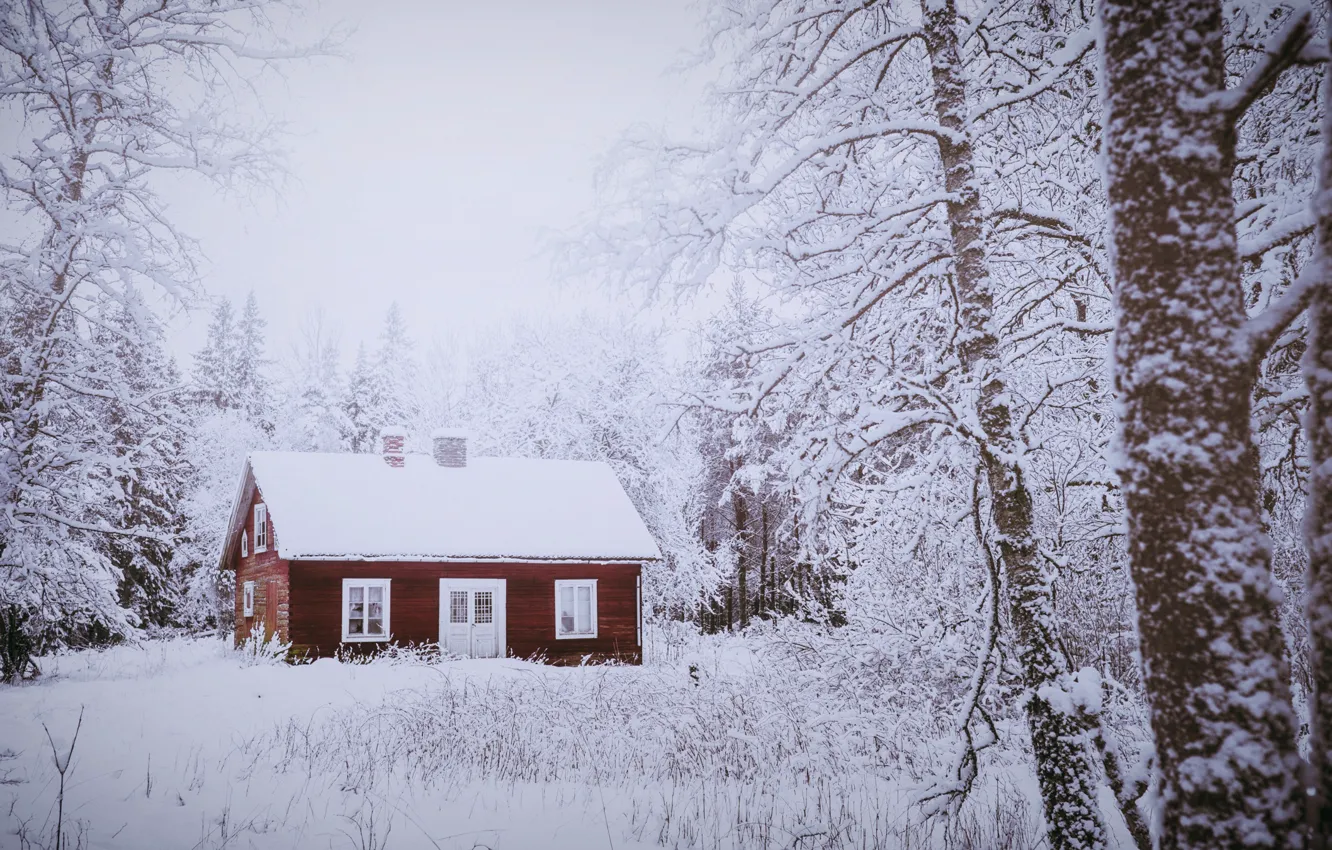 Фото обои зима, лес, дом
