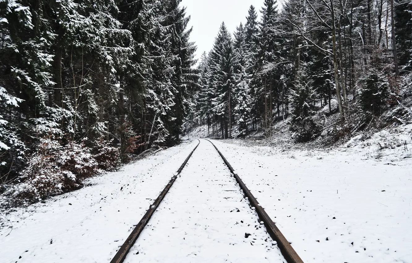 Фото обои зима, лес, снег, железная дорога