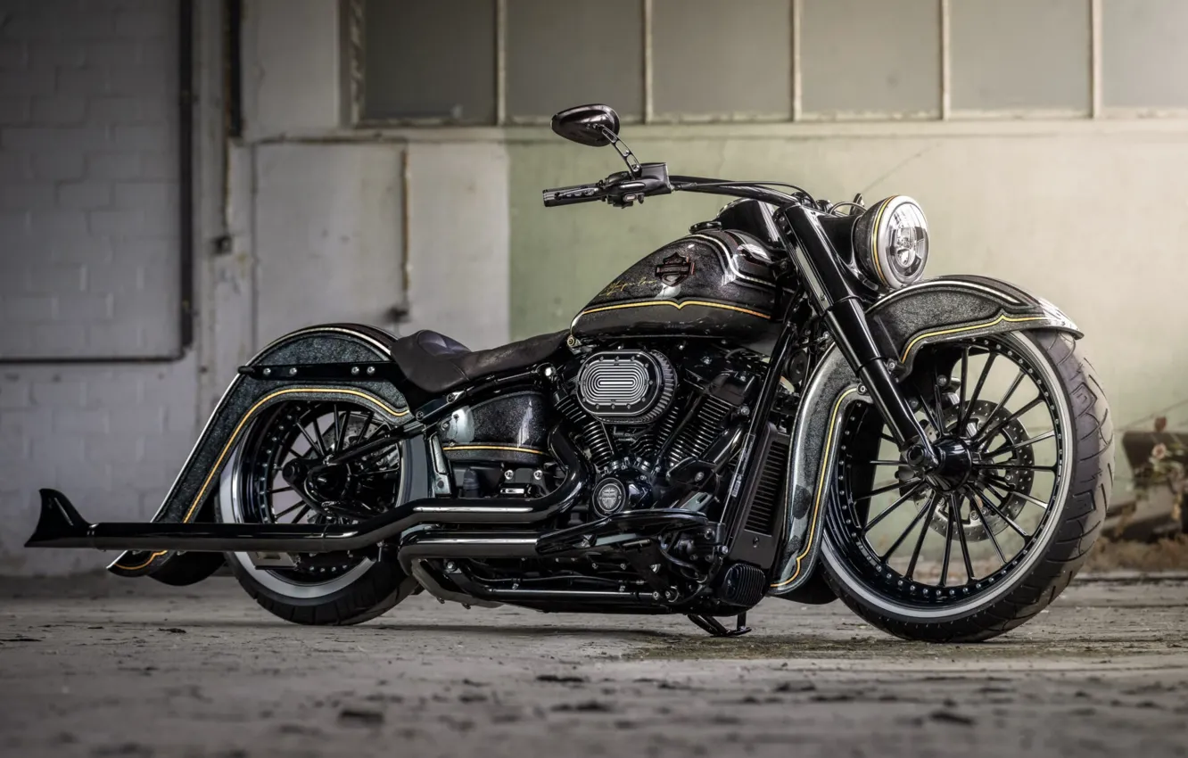 Фото обои Harley Davidson, Tuning, Softail, Bikes, Heritage, Customized, 114, Thunderbike