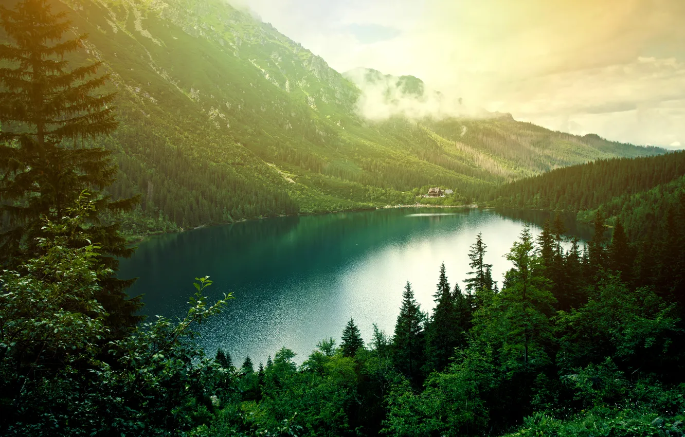 Фото обои forest, landscape, nature, mountains, lake
