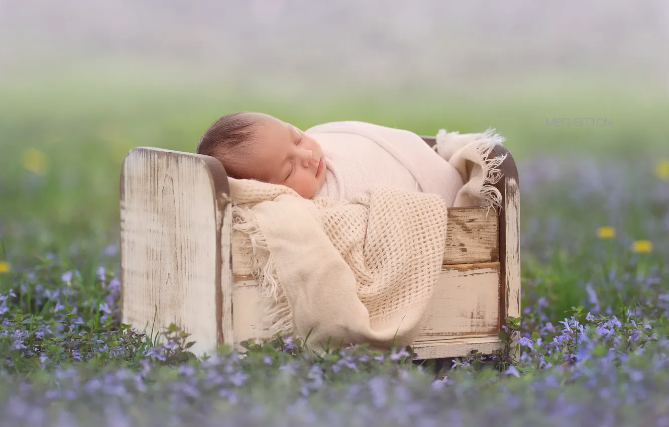 Фото обои цветы, сон, младенец, боке, кроватка, спящий