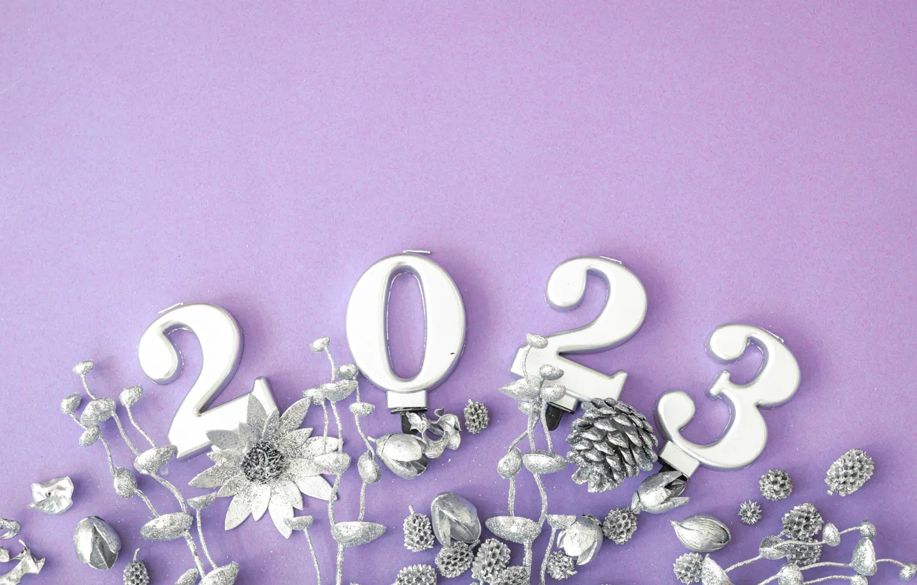 Фото обои стебли, серебро, растения, цифры, Новый год, шишки, дата, новогодние украшения
