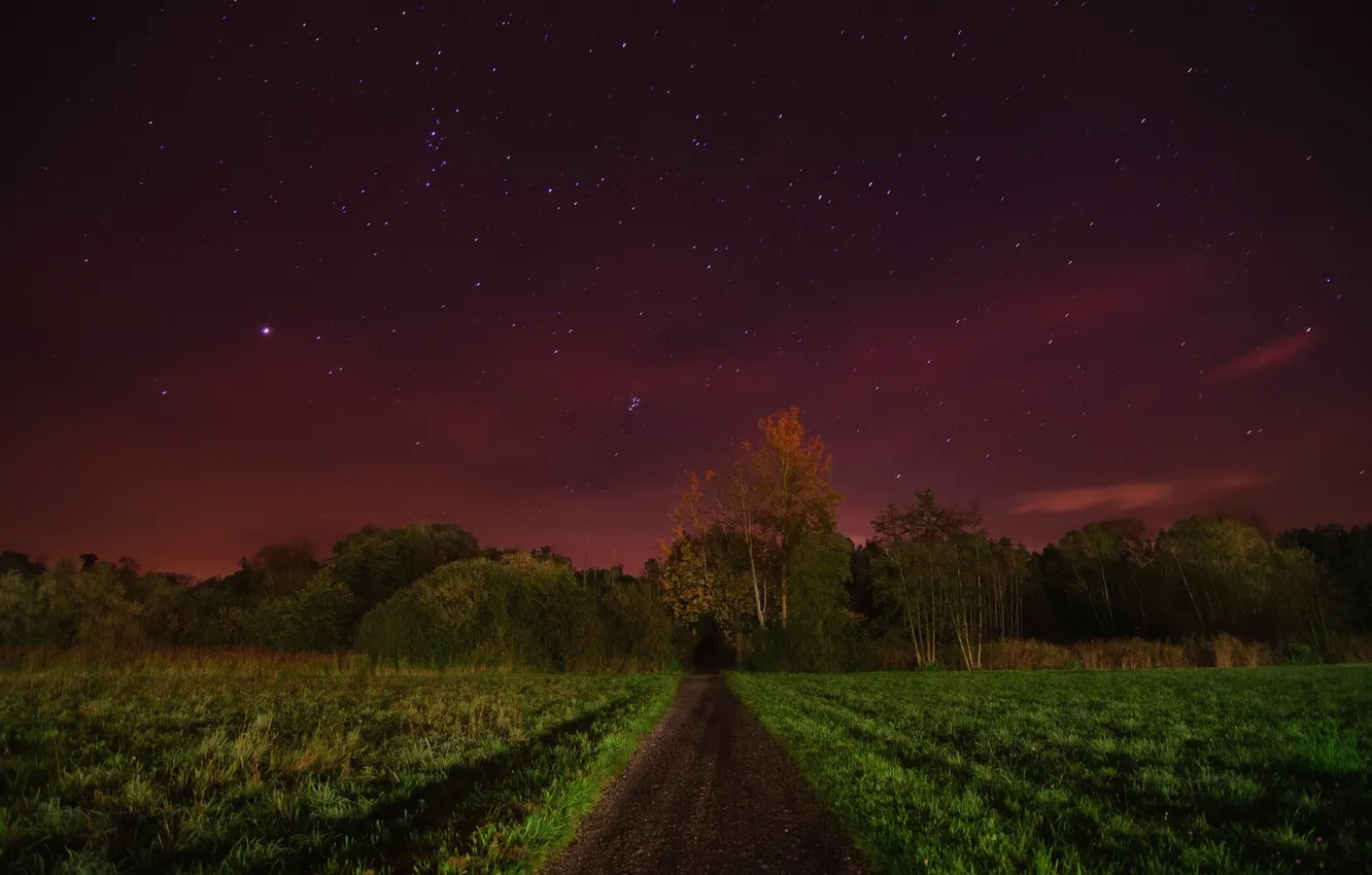 Фото обои дорога, поле, ночь
