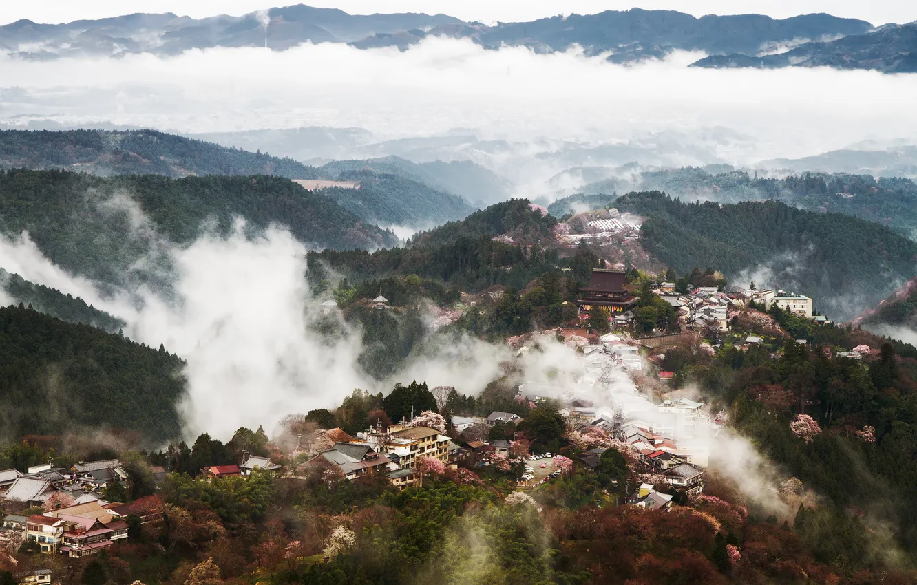 Фото обои горы, туман, городок, леса, селение