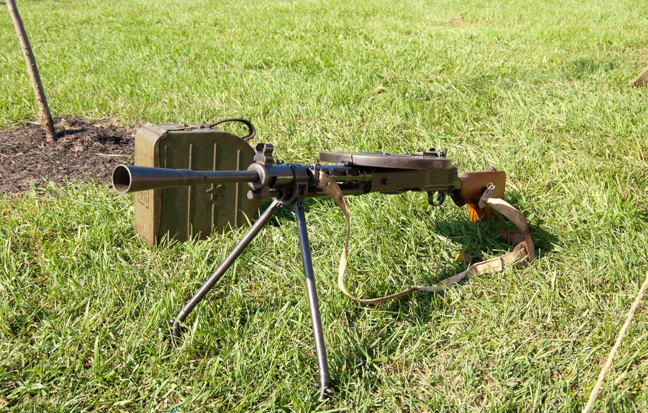 Фото обои трава, оружие, пулемёт, ручной, пехотный, ДП-27, Дегтярёва