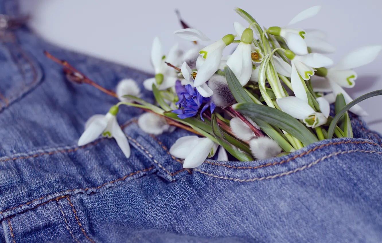 Фото обои цветы, джинсы, весна