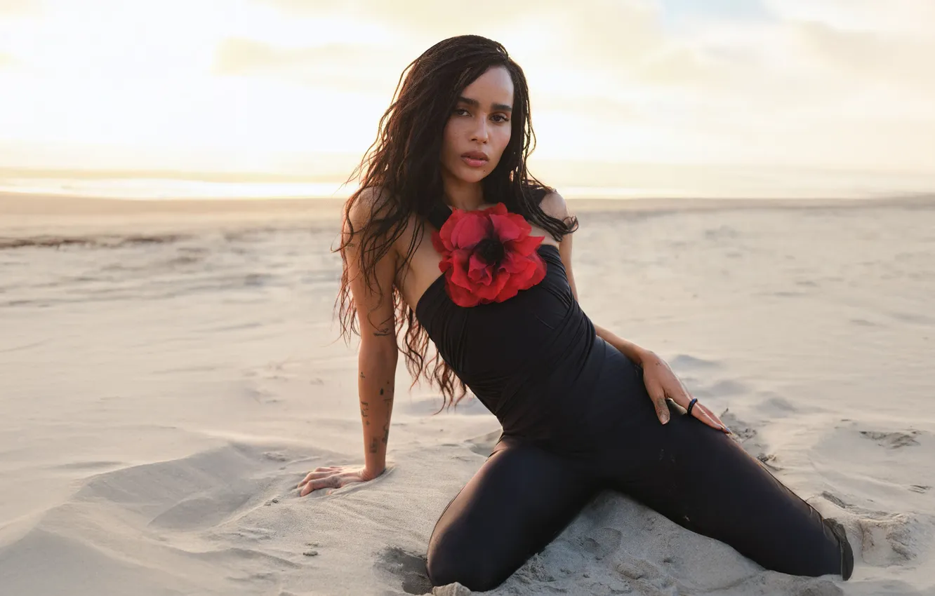 Фото обои girl, beautiful, model, singer, sweet, Zoe Kravitz