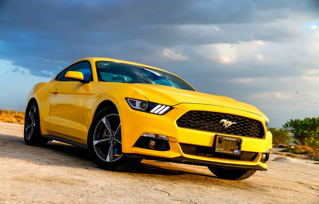 Фото обои mustang, muscle, modern, machine, new, legend, motor, nobody