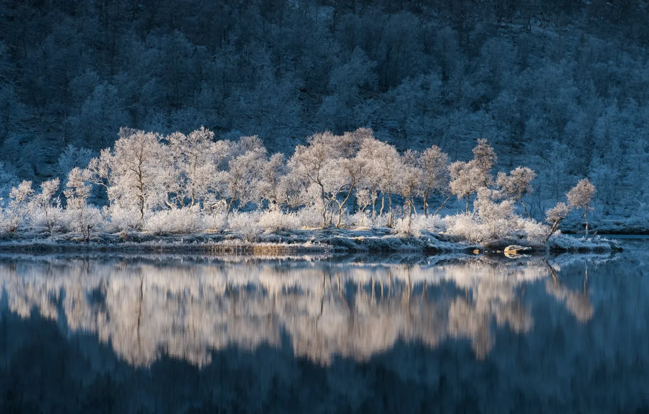 Фото обои иней, вода, деревья, отражение, Норвегия, Norway, Troms, Тромс