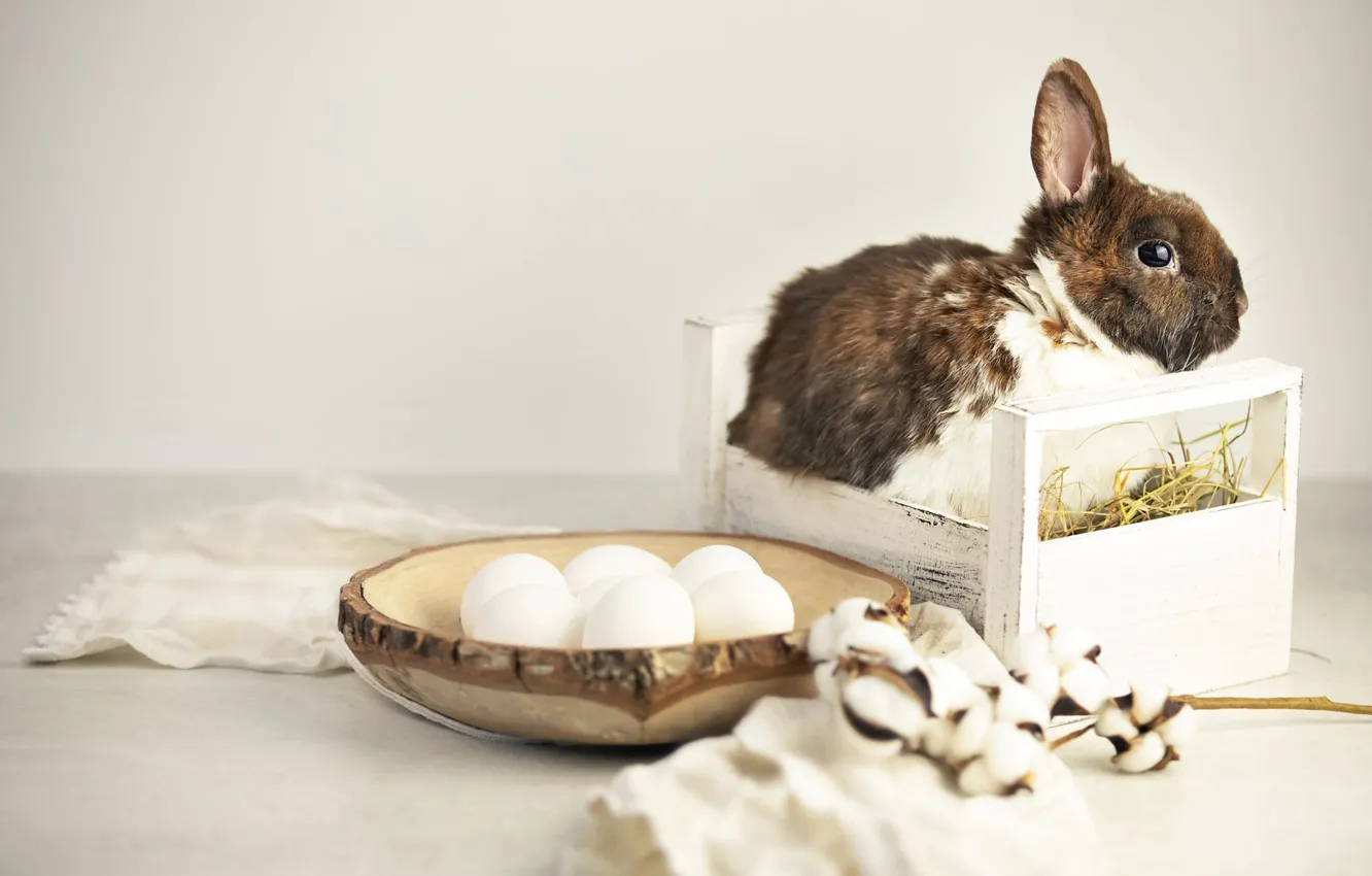 Фото обои стол, праздник, яйца, весна, кролик, Пасха, солома, миска