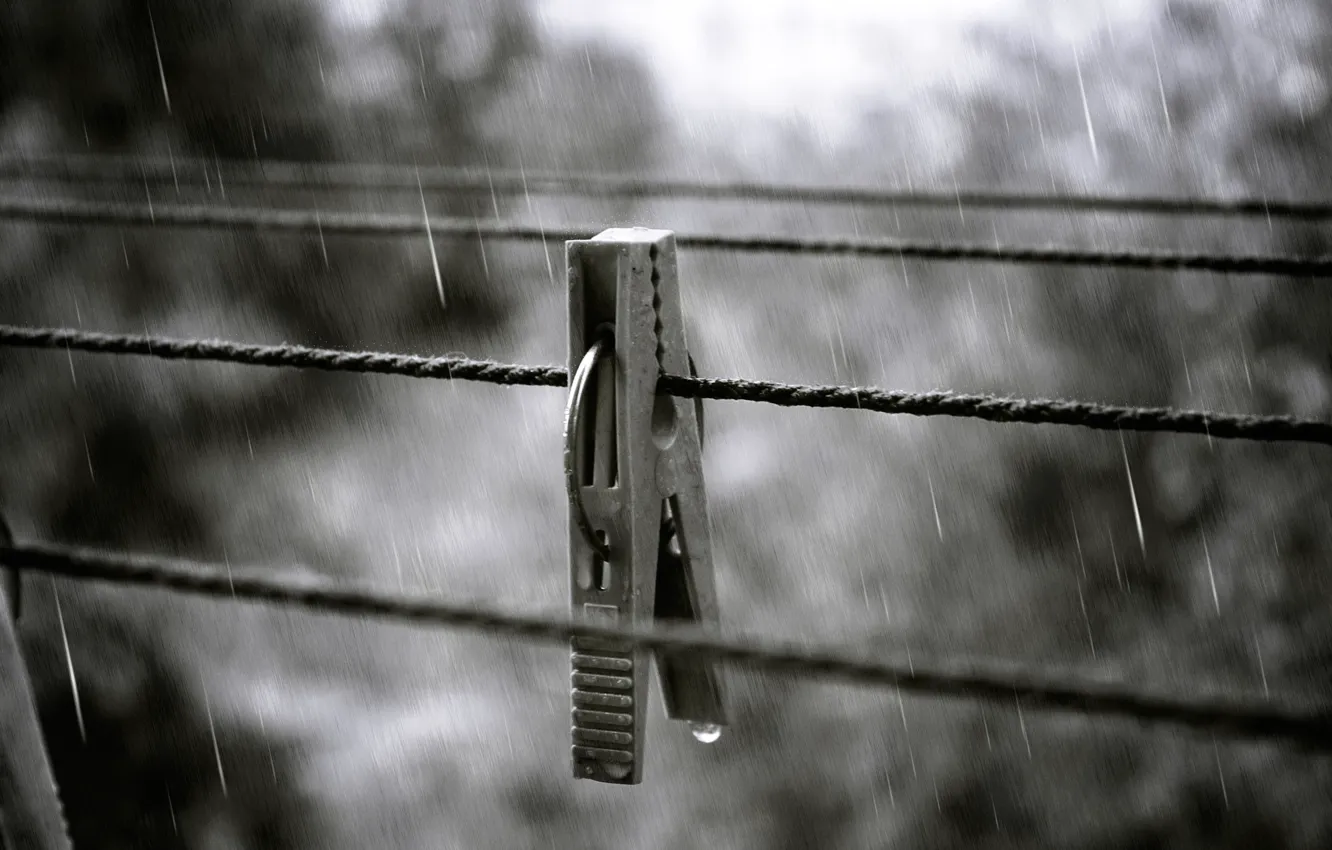 Фото обои осень, брызги, дождь, капля, Прищепка, верёвки