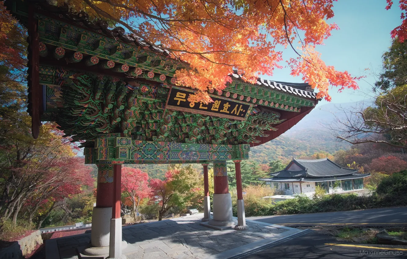 Фото обои Южная Корея, осенний парк, священные ворота, Sout Korea