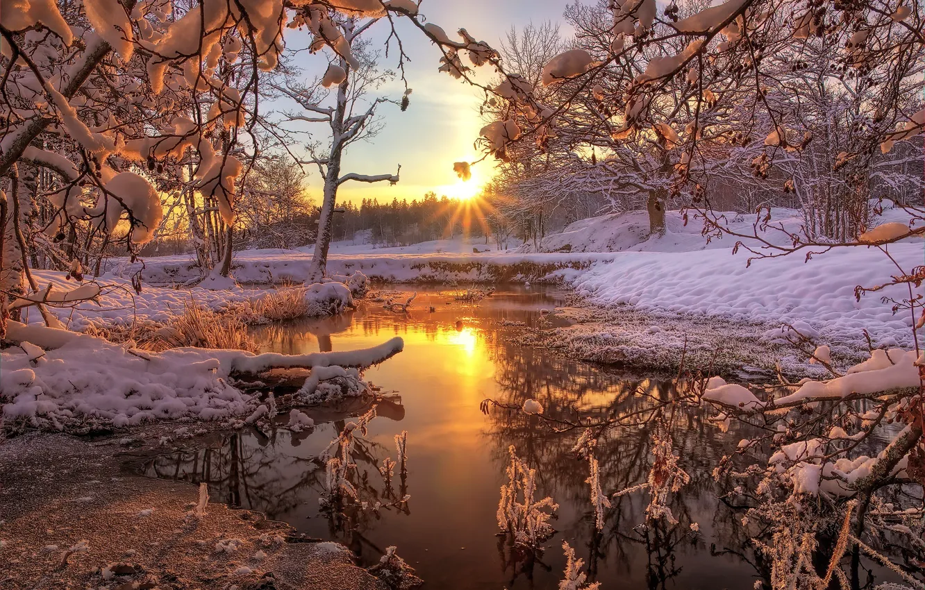 Фото обои зима, лес, снег, природа, река, рассвет