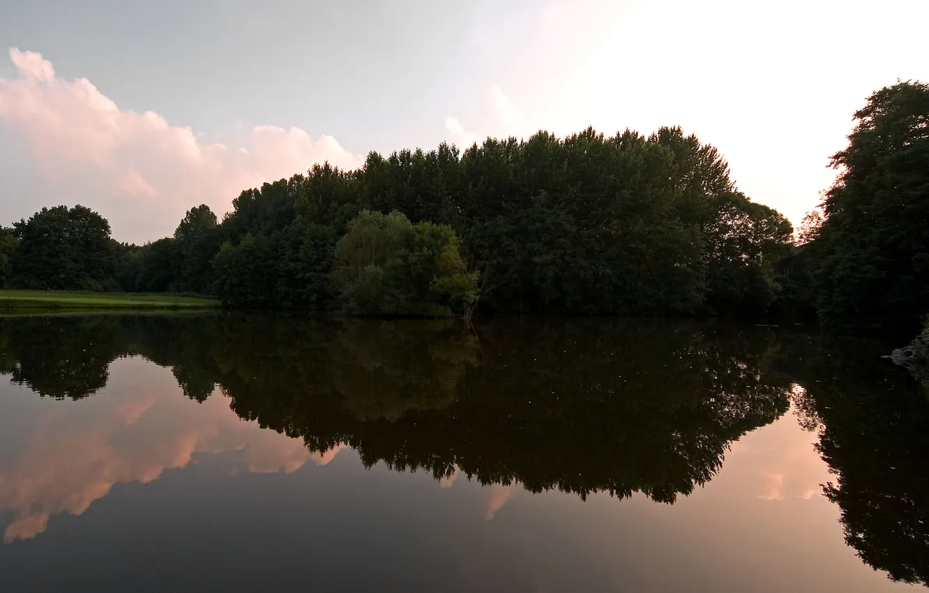 Фото обои деревья, природа, озеро, гладь, отражение, вечер, nature