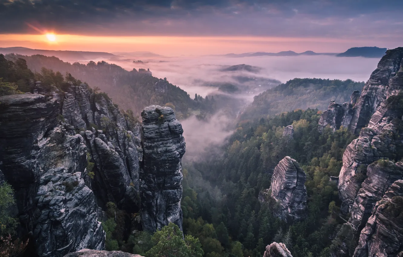 Фото обои лес, горы, туман, восход, скалы, утро