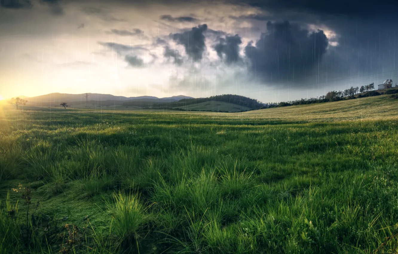 Фото обои поле, трава, тучи, природа, дождь, холмы, луг