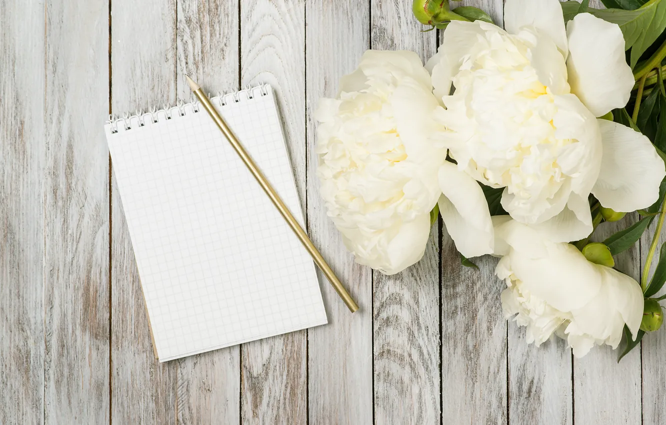 Фото обои white, wood, flowers, romantic, пионы, peonies, valentine`s day