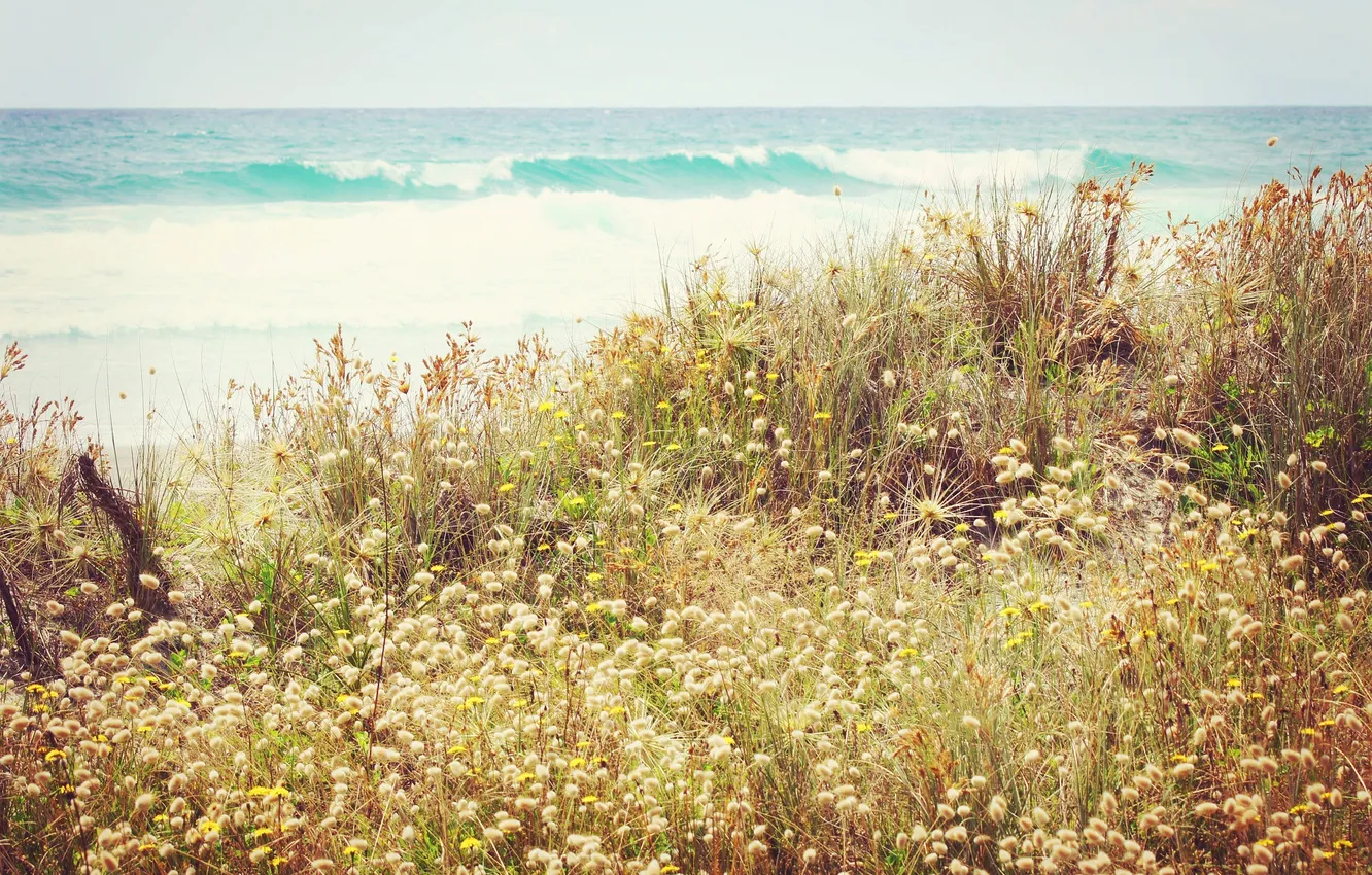 Фото обои волны, трава, цветы
