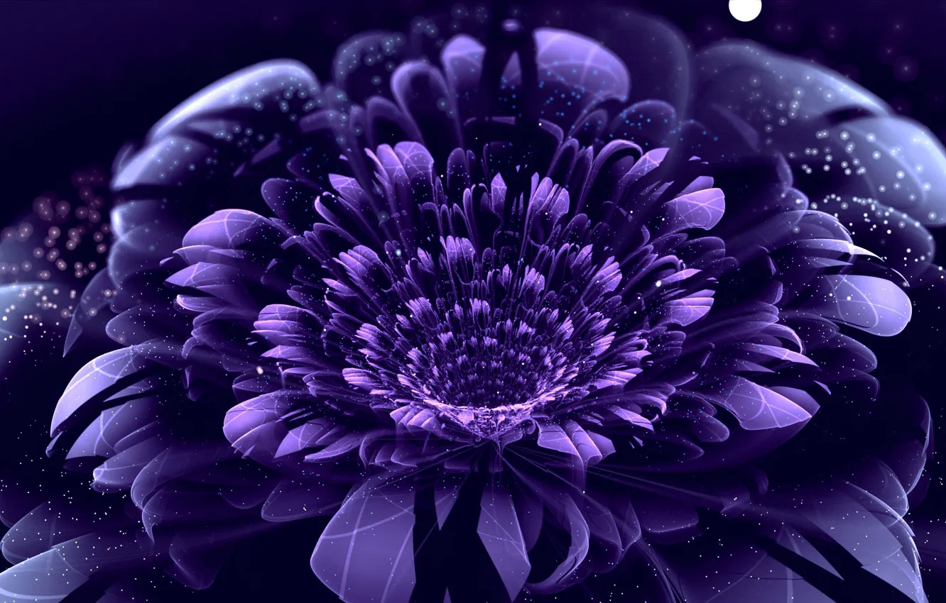 Фото обои цветок, фиолетовый, круги, точки, лепестки