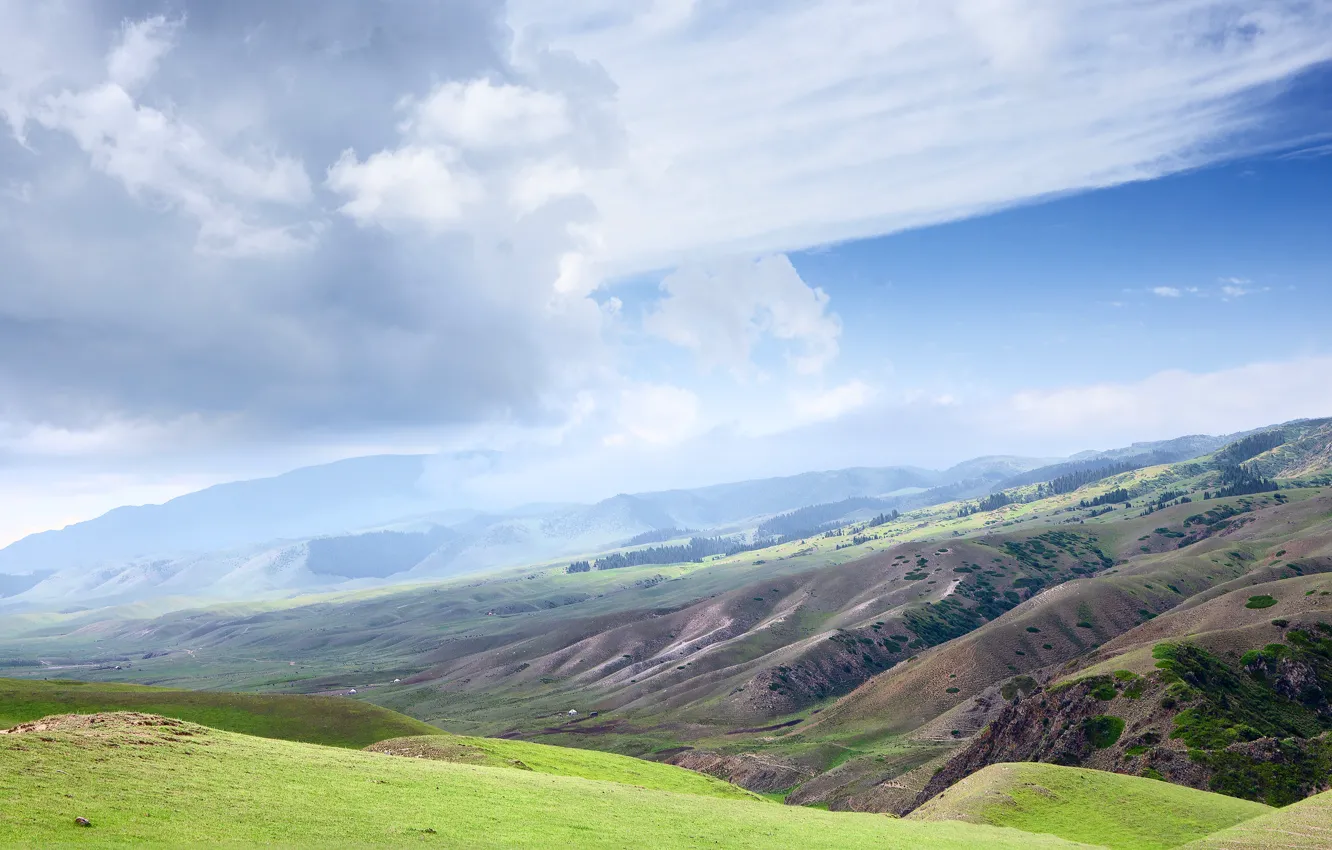 Фото обои зелень, лес, небо, облака, горы, туман, синева, голубой