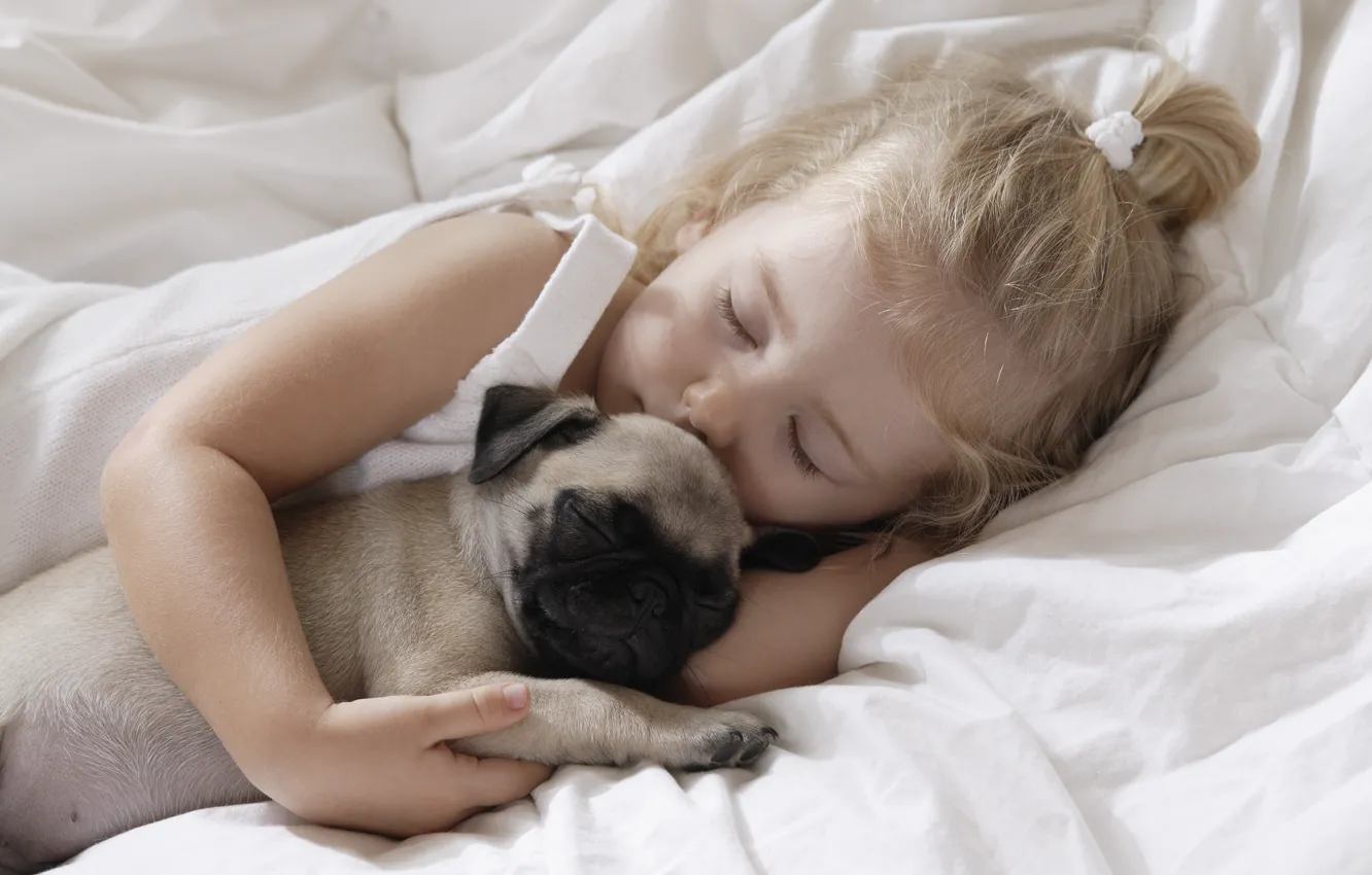 Фото обои дети, детство, животное, ребенок, собака, спит, dog, child