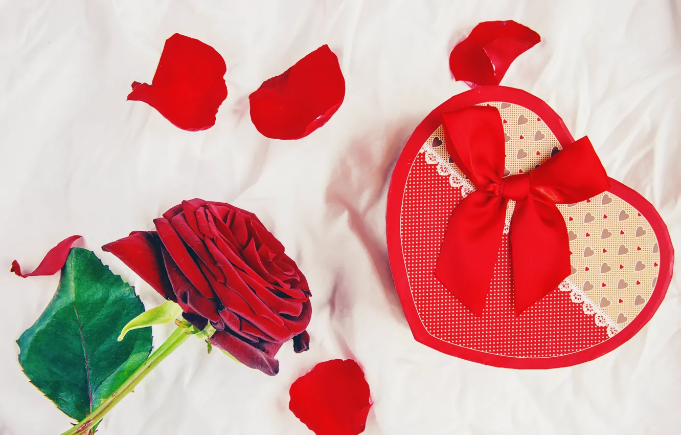 Фото обои праздник, подарок, розы, сердечки, день влюбленных