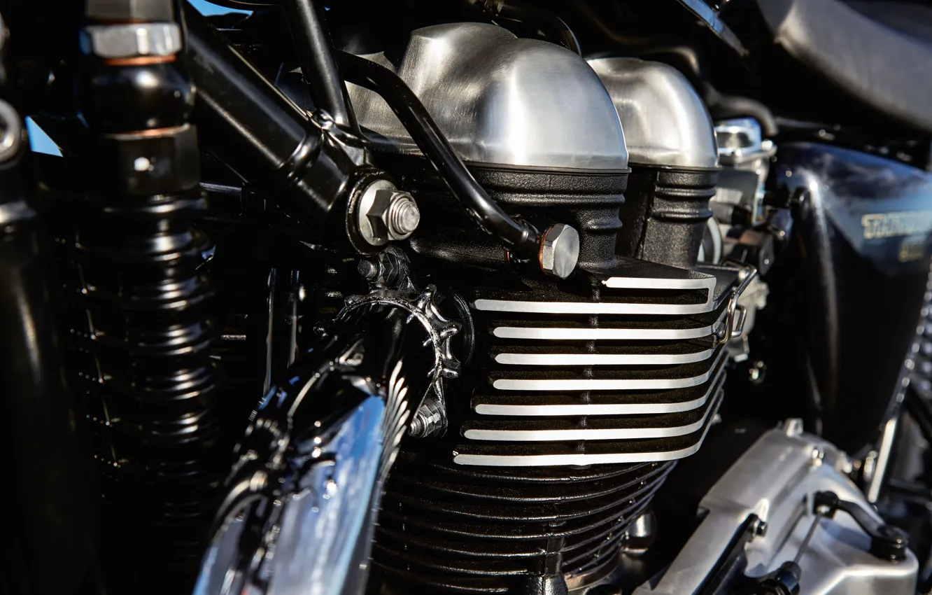 Фото обои двигатель, мотоцикл, хром, железки, Triumph Thruxton, патрубки