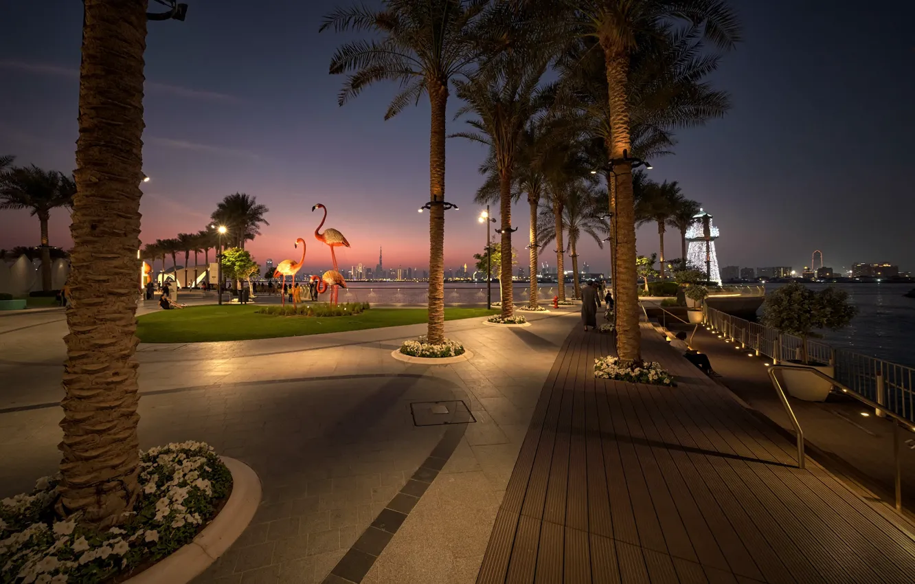Фото обои город, пальмы, вечер, освещение, Дубай, набережная, гавань, ОАЭ