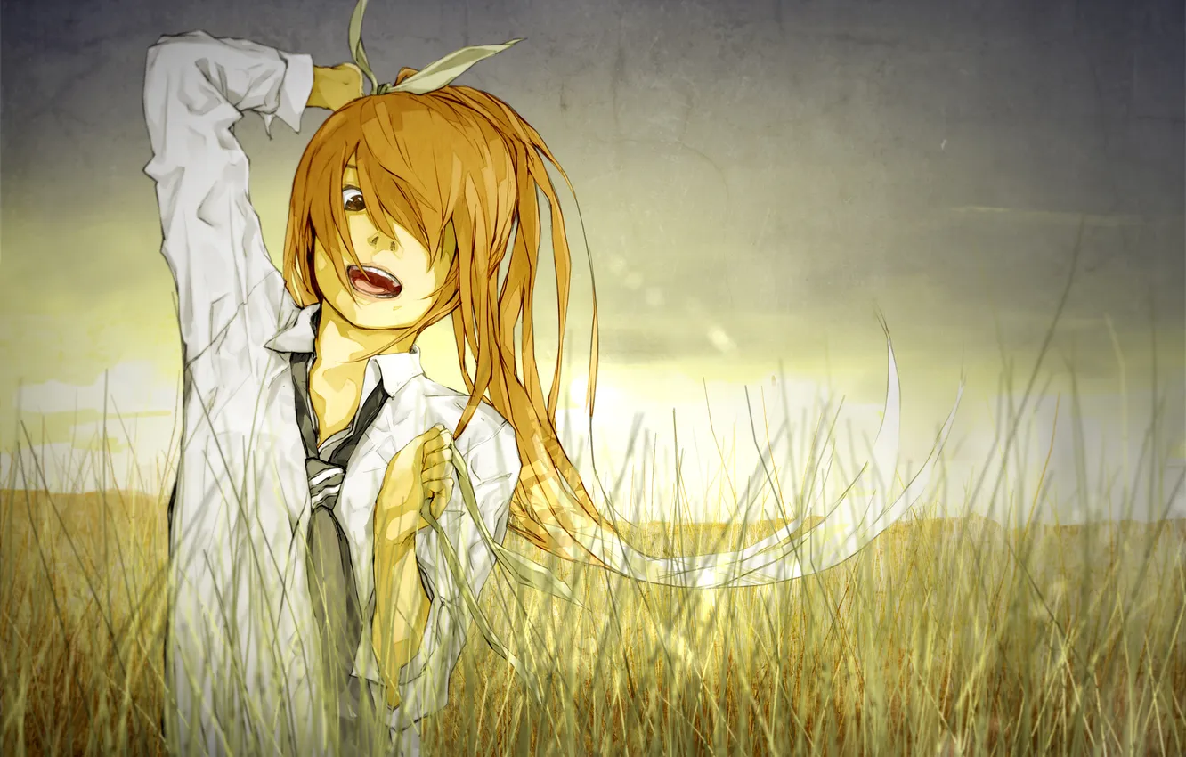 Фото обои поле, трава, закат, эмоции, волосы, арт, галстук, лента
