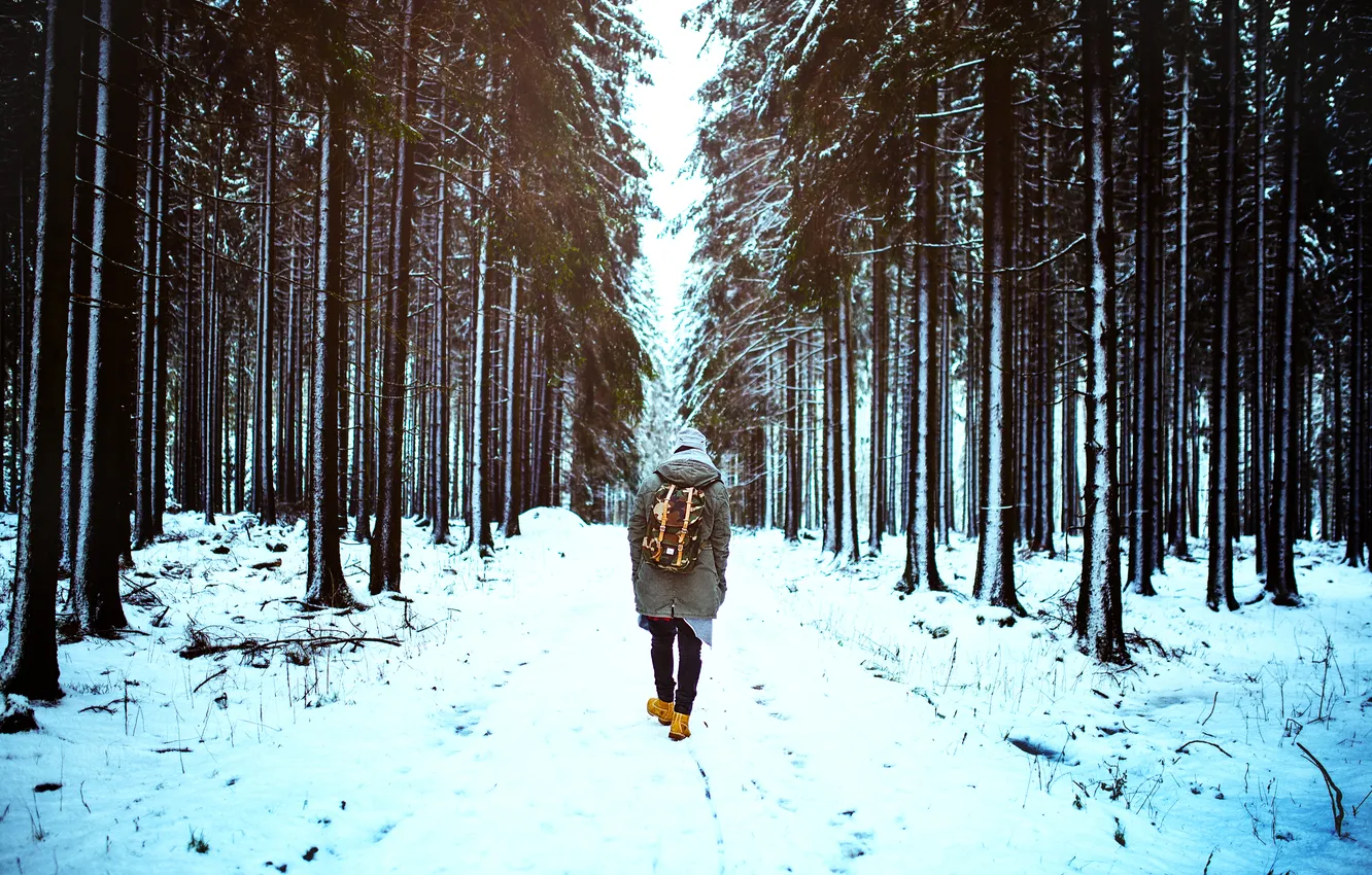 Фото обои зима, дорога, лес, снег, деревья, мужчина, парень, рюкзак