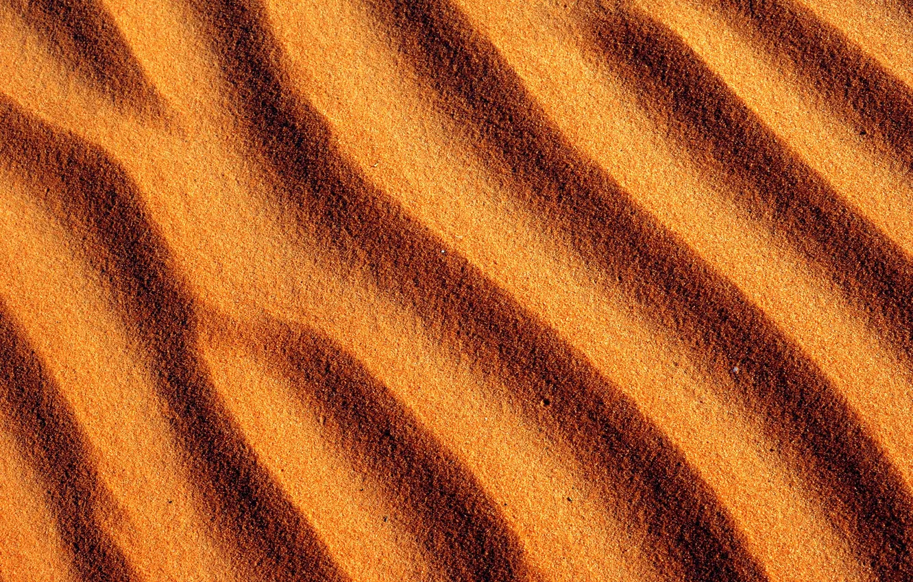 Фото обои песок, макро, узор, пустыня, текстура