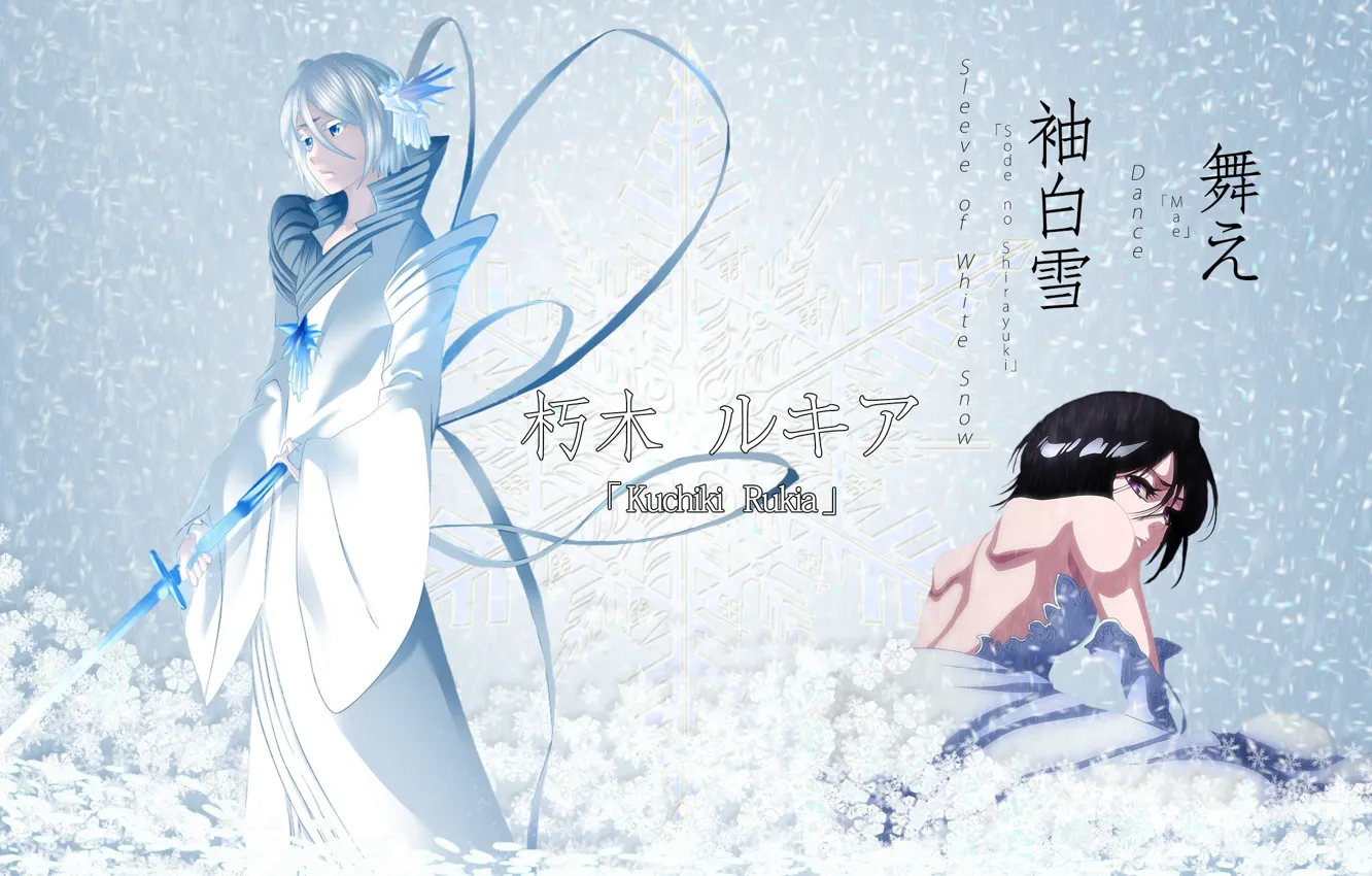 Фото обои girl, sword, game, Bleach, blizzard, dress, evolution, anime