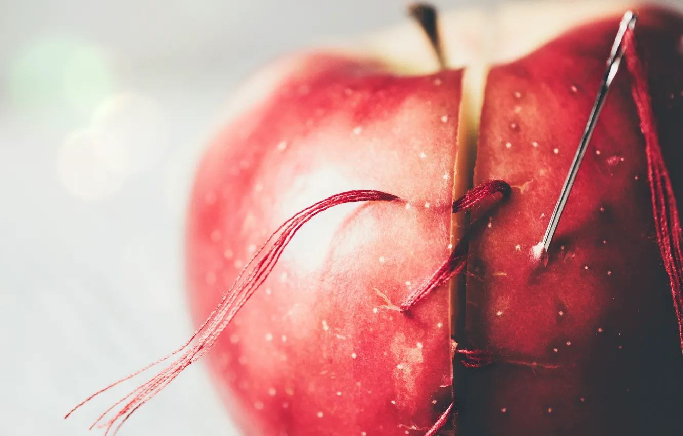 Фото обои яблоко, нитка, иголка