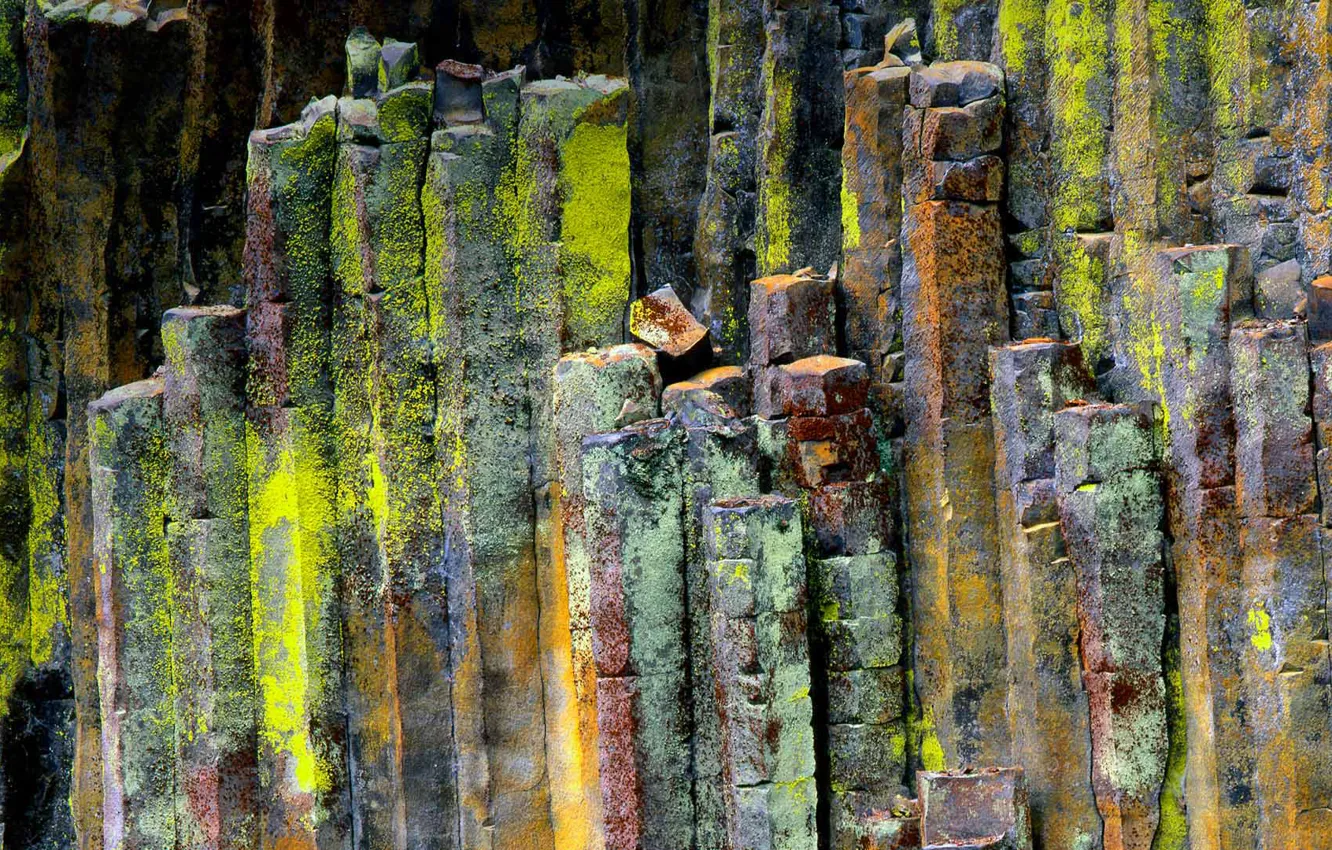 Фото обои камни, Орегон, США, Umpqua National Forest, базальт