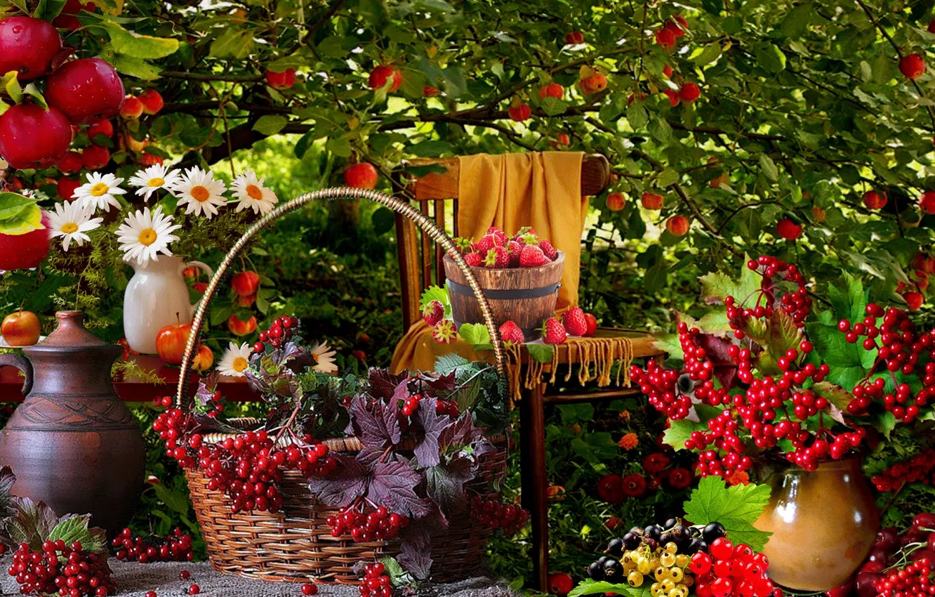 Фото обои ягоды, ромашки, Яблоня, фрукты, натюрморт, смородина, калина