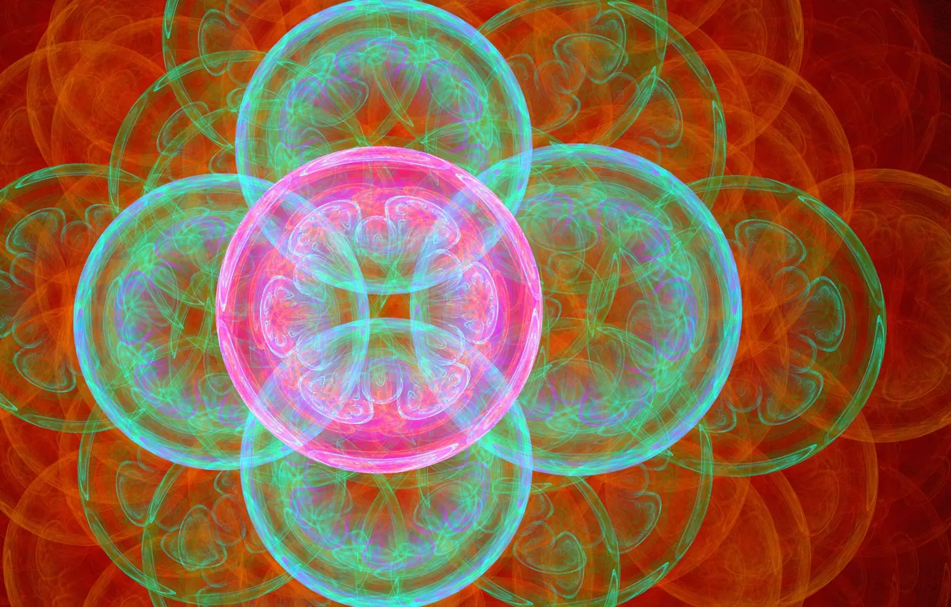 Фото обои круги, цветы, абстракция, пузыри, фон, рисунок, графика, шар