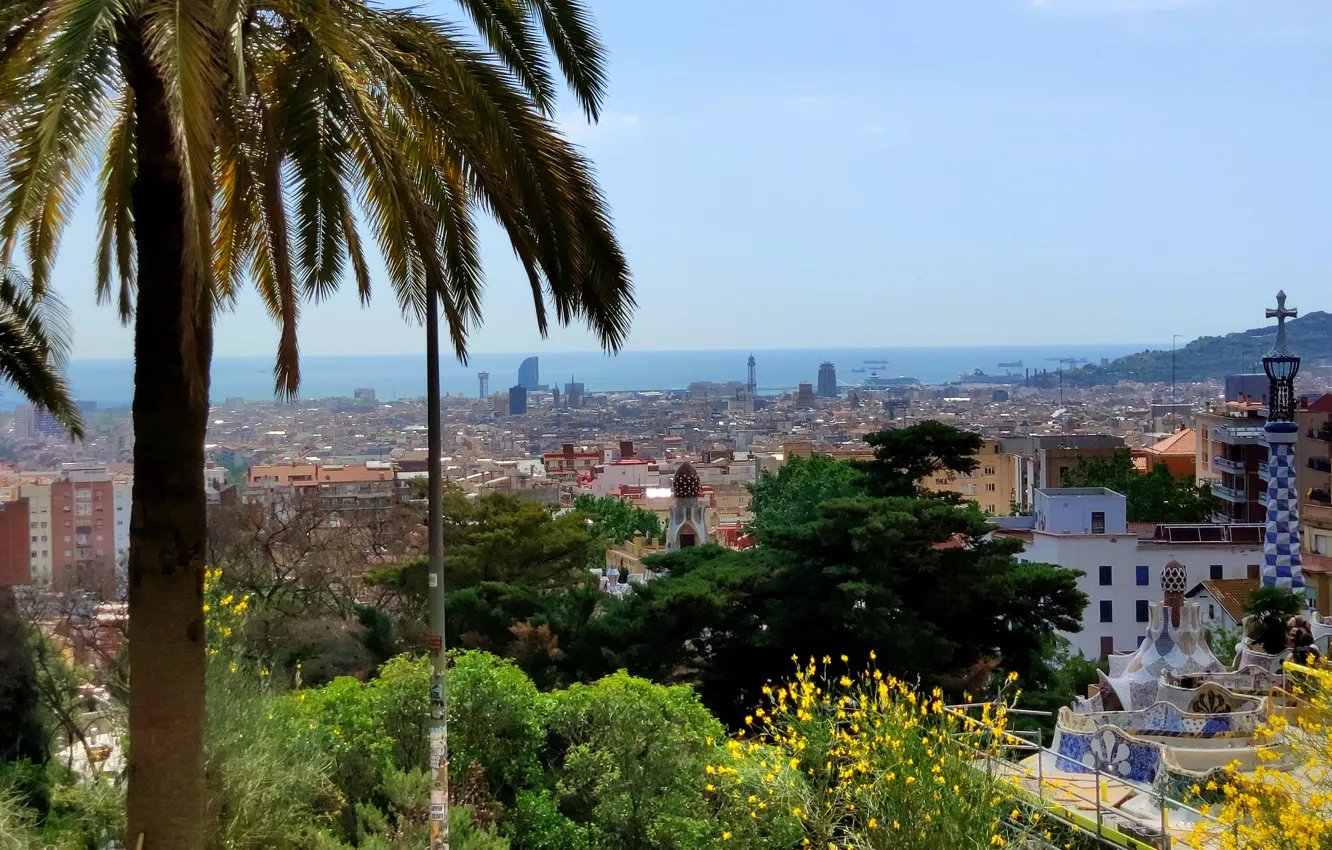Фото обои небо, пальма, вид, здания, день, barcelona