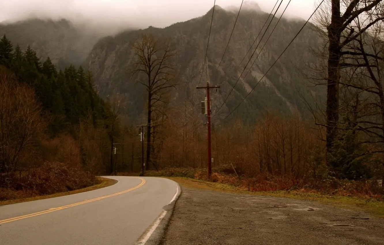 Фото обои forest, road, trees, nature, mountains, mist, TV series, David Lynch