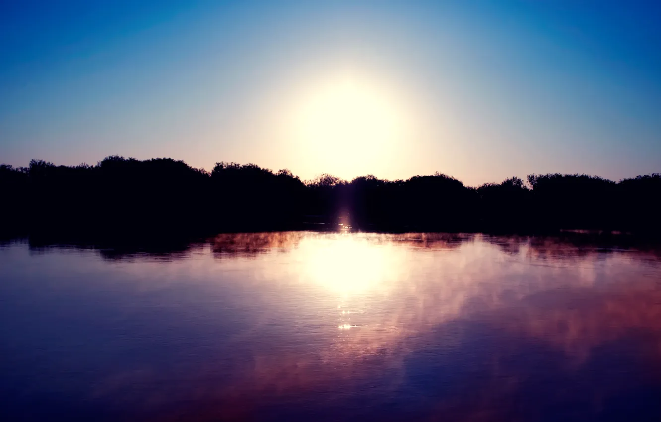 Фото обои солнце, туман, озеро, гладь, рассвет, берег, силуэт