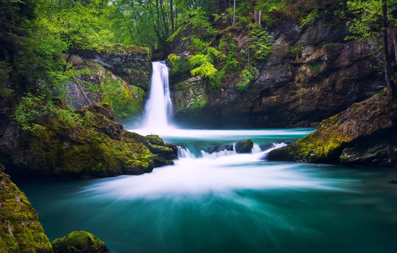 Фото обои лес, река, скалы, водопад, Швейцария, Switzerland, Санкт-Галлен, St Gallen