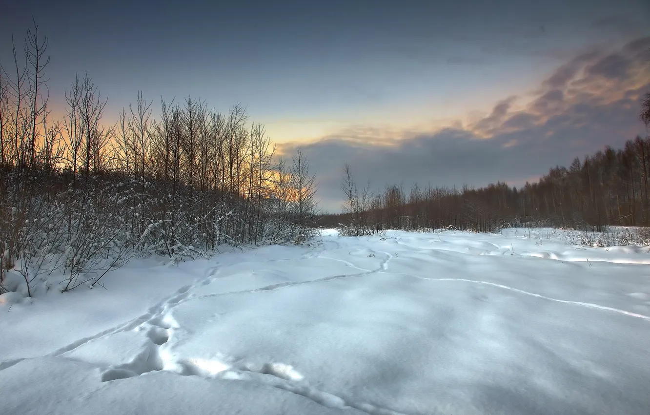 Фото обои зима, поле, снег, пейзаж, закат