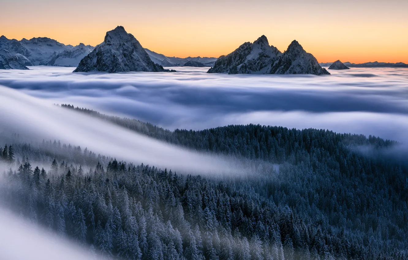Фото обои зима, снег, деревья, горы, туман, Альпы, леса