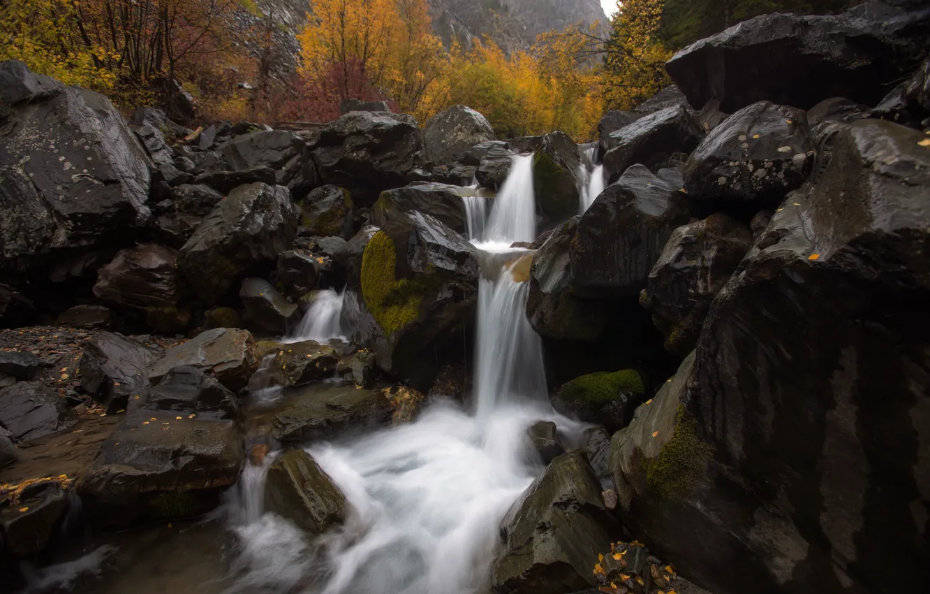 Фото обои осень, камни, водопад