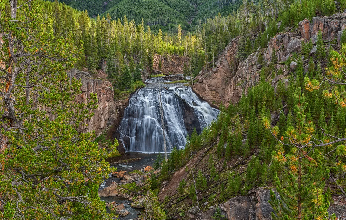 Фото обои лес, деревья, пейзаж, горы, река, скалы, водопад, поток