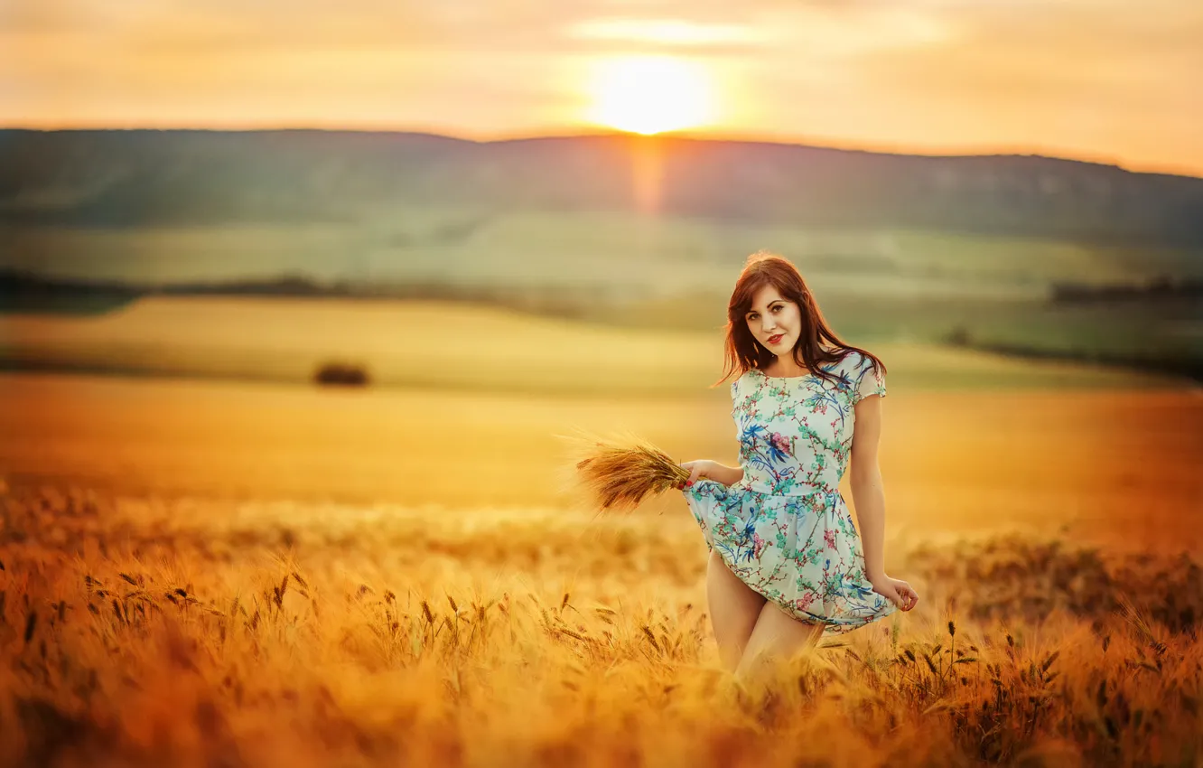Фото обои поле, девушка, солнце, платье, ножки