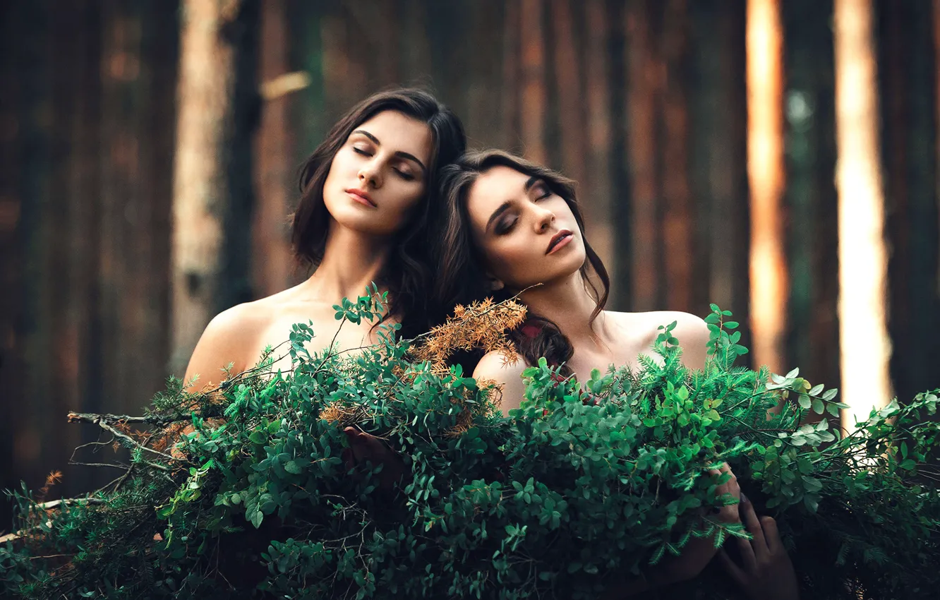 Фото обои лес, две девушки, подруги