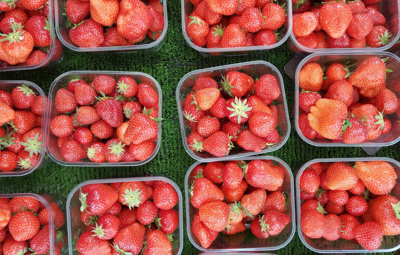 Фото обои ягоды, урожай, клубника, много, контейнеры, лотки
