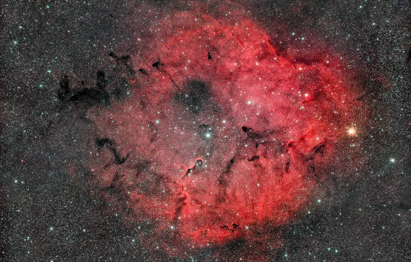 Фото обои космос, звезды, nebula, Elephant's Trunk, IC 1396