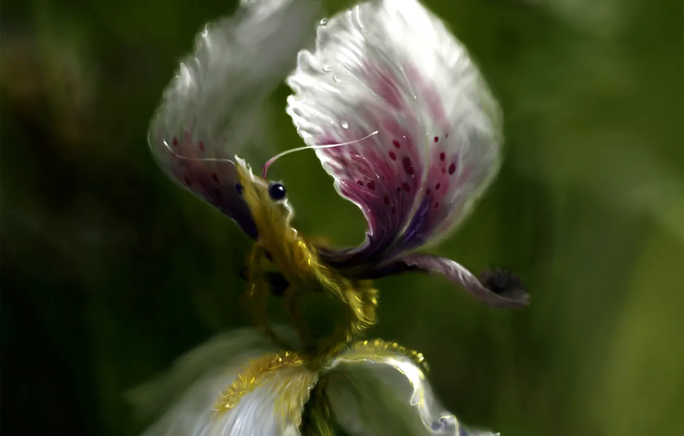 Фото обои цветок, фантазия, крылья, существо, лепестки, арт, ирис