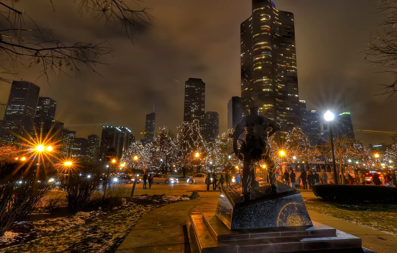 Фото обои ночь, огни, парк, люди, небоскребы, чикаго, Chicago